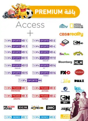 باقة بريميوم Premium اشتراك 6 أشهر كل ما تتمنى
